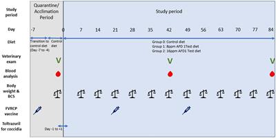 Evaluation of anti-Fel d 1 IgY ingredient for pet food on growth performance in kittens